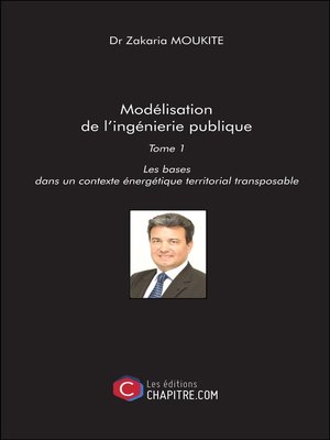 cover image of Modélisation de l'ingénierie publique, Tome 1